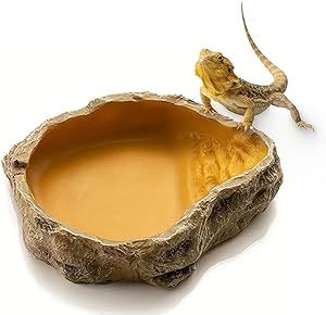Reptile Water Dish