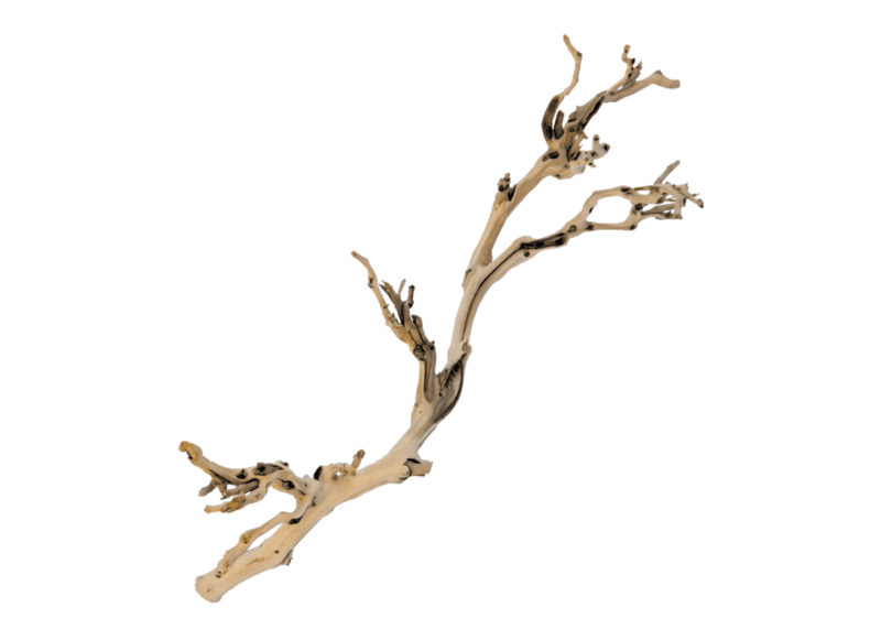 Grapevine Branch Sandblasted