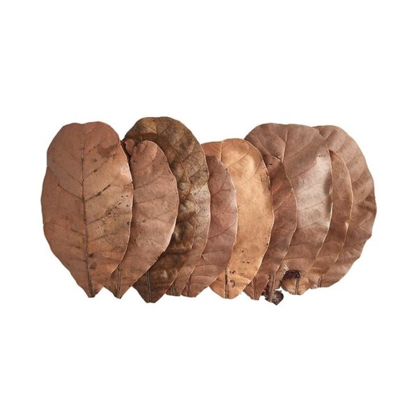 Leaf Litter 500ml