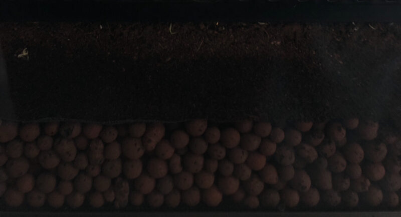 Small Terrarium - Image 3