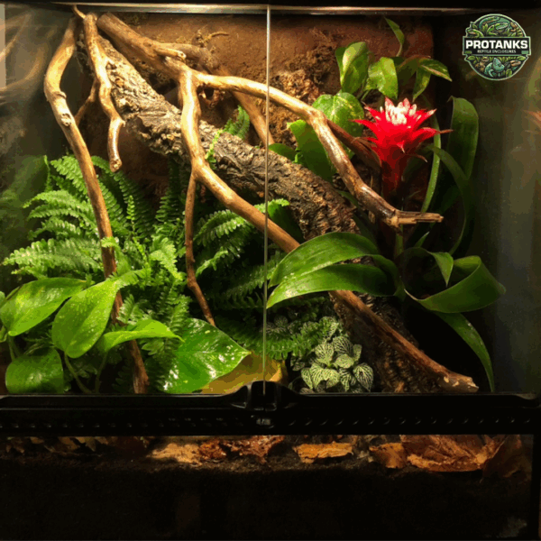 Large Terrarium